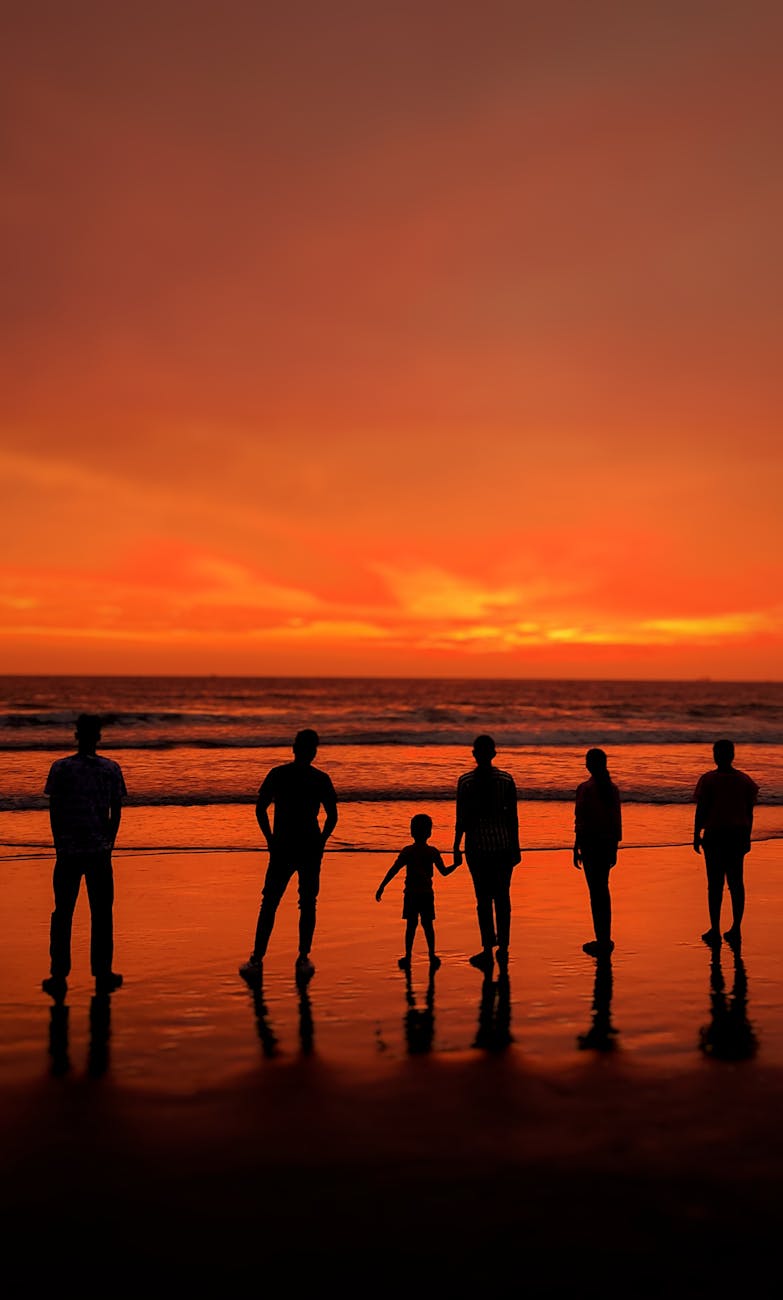 silhouettes of people standing at a beach